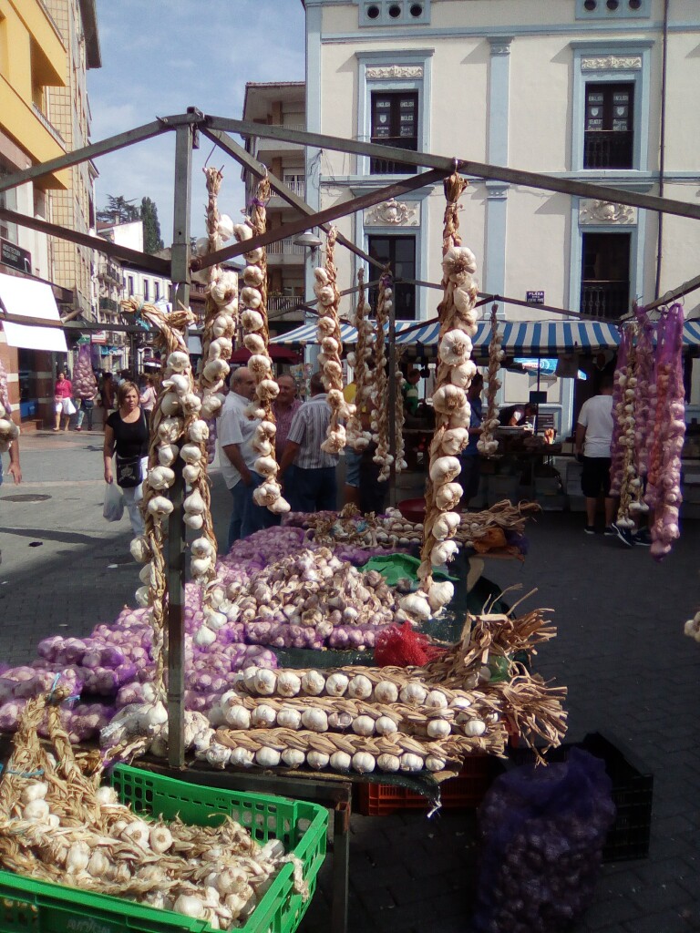 Wochenmarkt in Gardo 