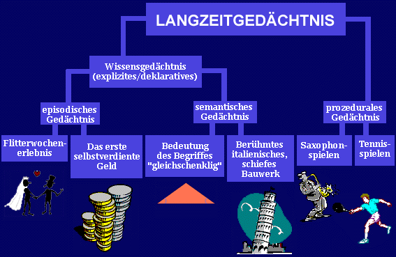 Langzeitgedächtnis