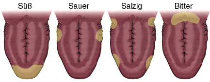 Geschmackszonen